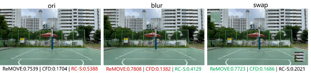 Blur and swap robustness comparison